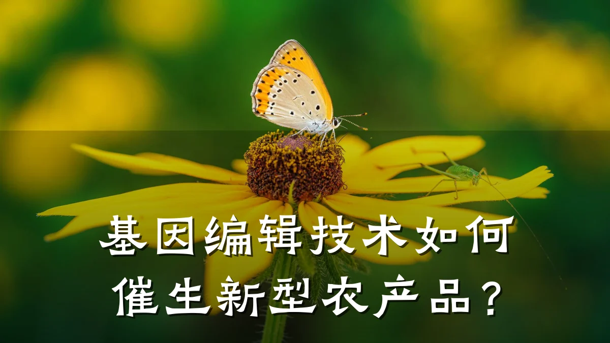 基因编辑技术如何催生新型农产品？
