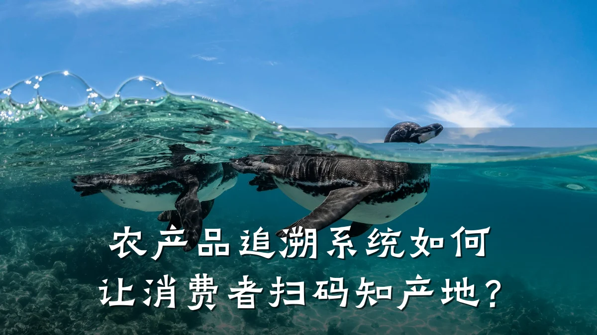 农产品追溯系统如何让消费者扫码知产地？