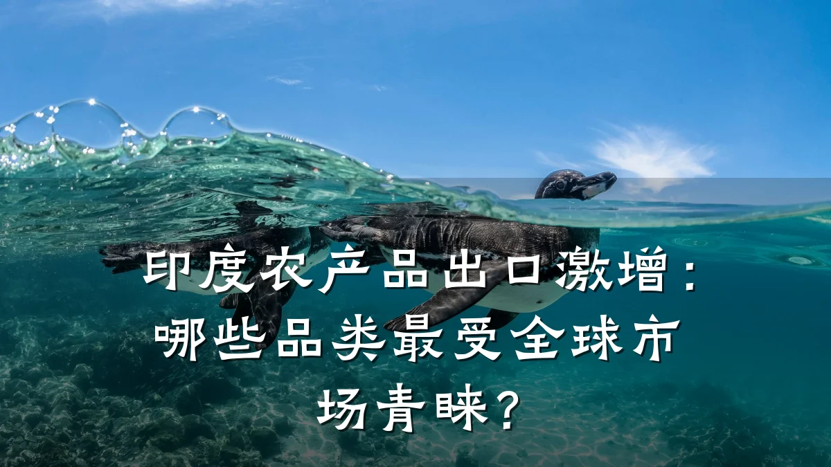 印度农产品出口激增：哪些品类最受全球市场青睐？