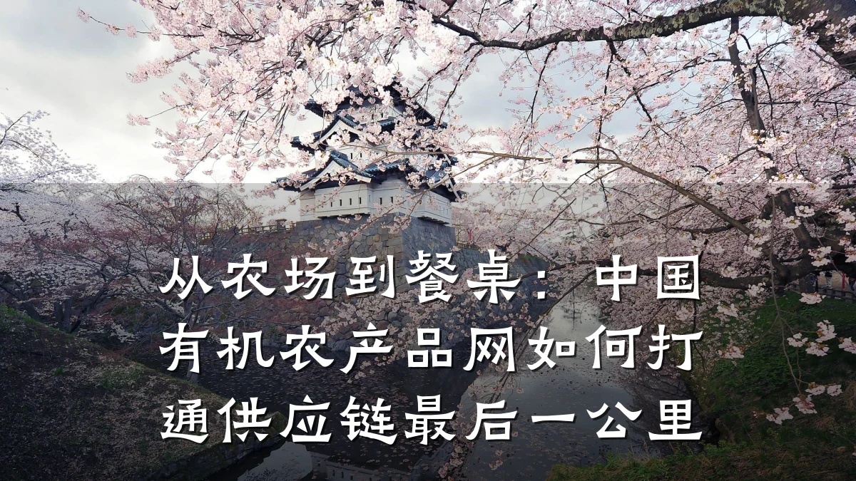 从农场到餐桌：中国有机农产品网如何打通供应链最后一公里