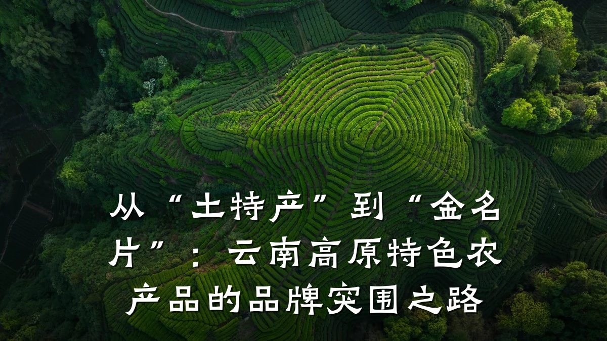 从“土特产”到“金名片”:云南高原特色农产品的品牌突围之路