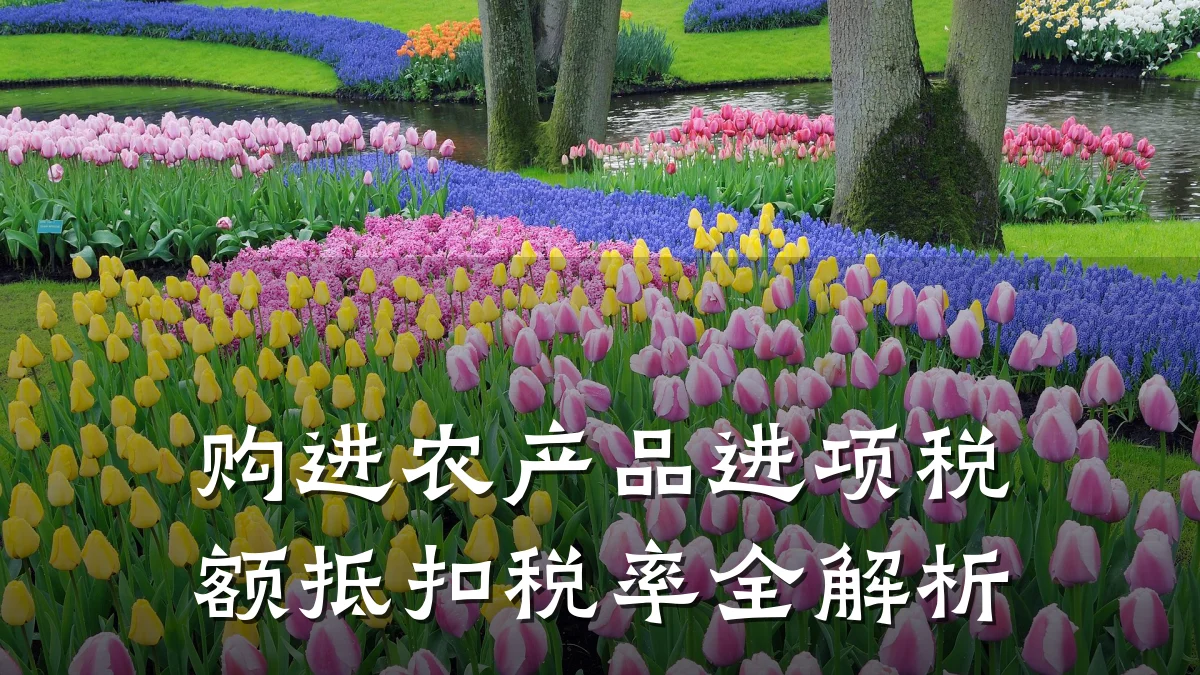 购进农产品进项税额抵扣税率全解析