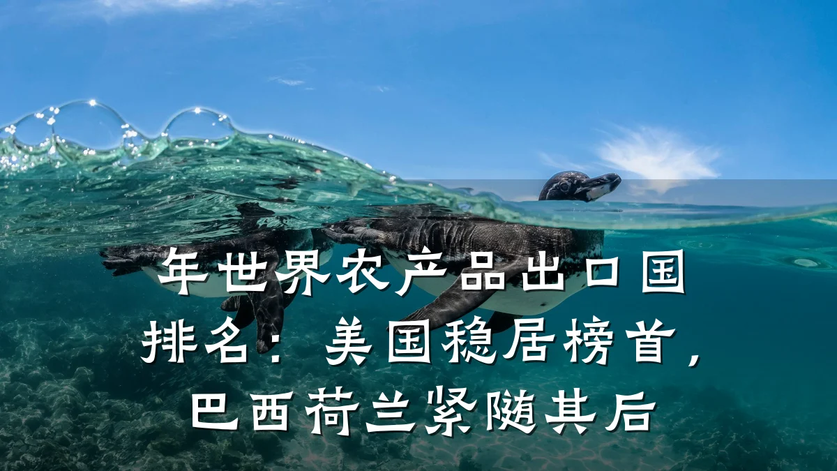 年世界农产品出口国排名：美国稳居榜首，巴西荷兰紧随其后