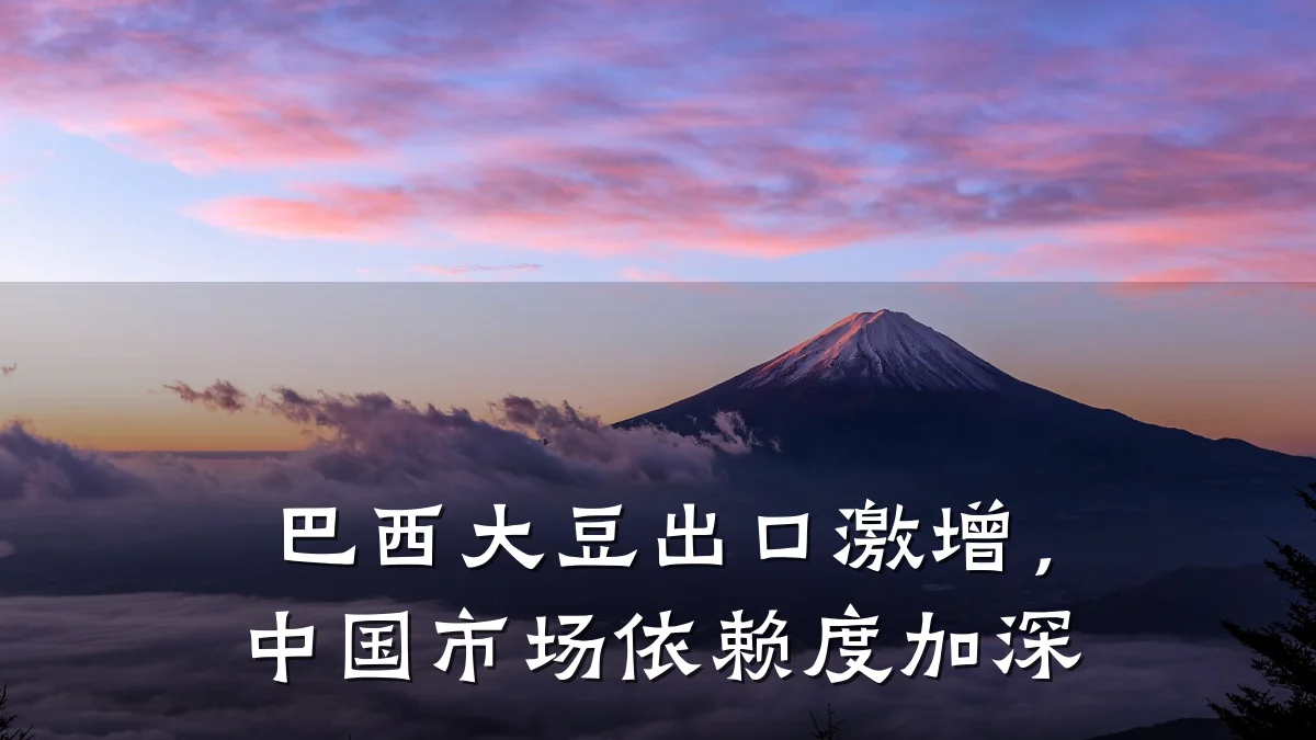 巴西大豆出口激增，中国市场依赖度加深