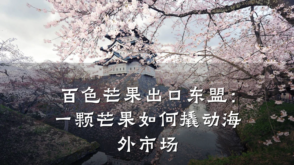 百色芒果出口东盟:一颗芒果如何撬动海外市场