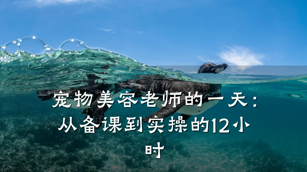 宠物美容老师的一天:从备课到实操的12小时