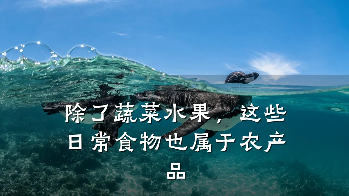 除了蔬菜水果,这些日常食物也属于农产品