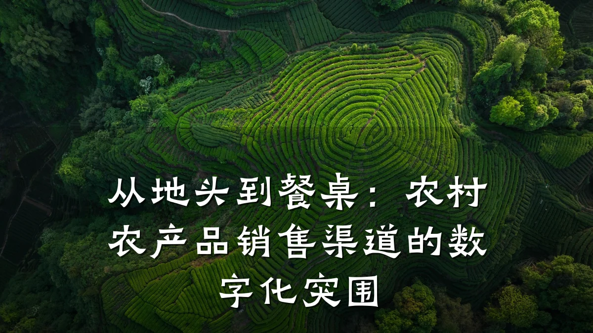 从地头到餐桌:农村农产品销售渠道的数字化突围
