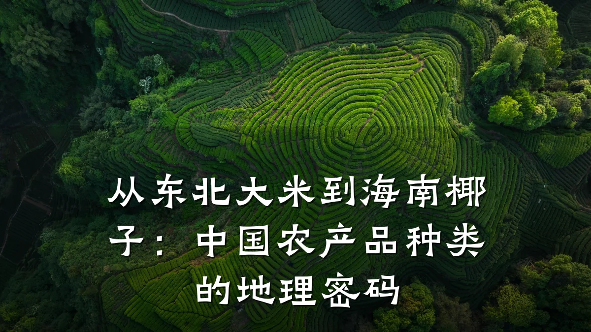 从东北大米到海南椰子:中国农产品种类的地理密码