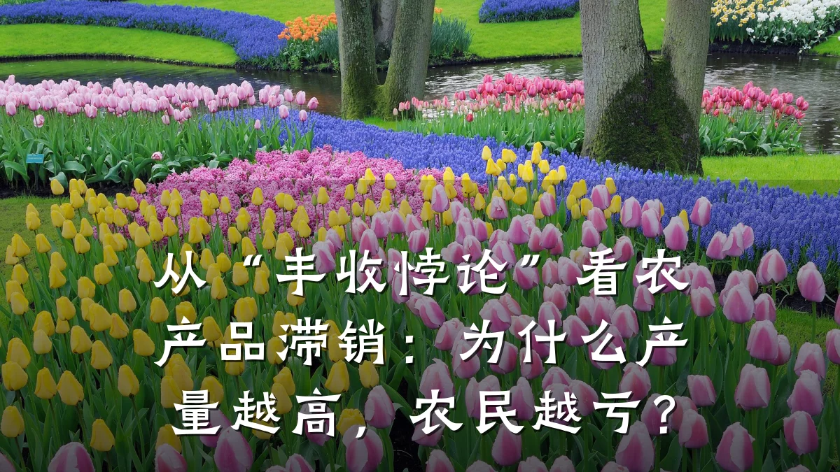 从“丰收悖论”看农产品滞销:为什么产量越高,农民越亏?