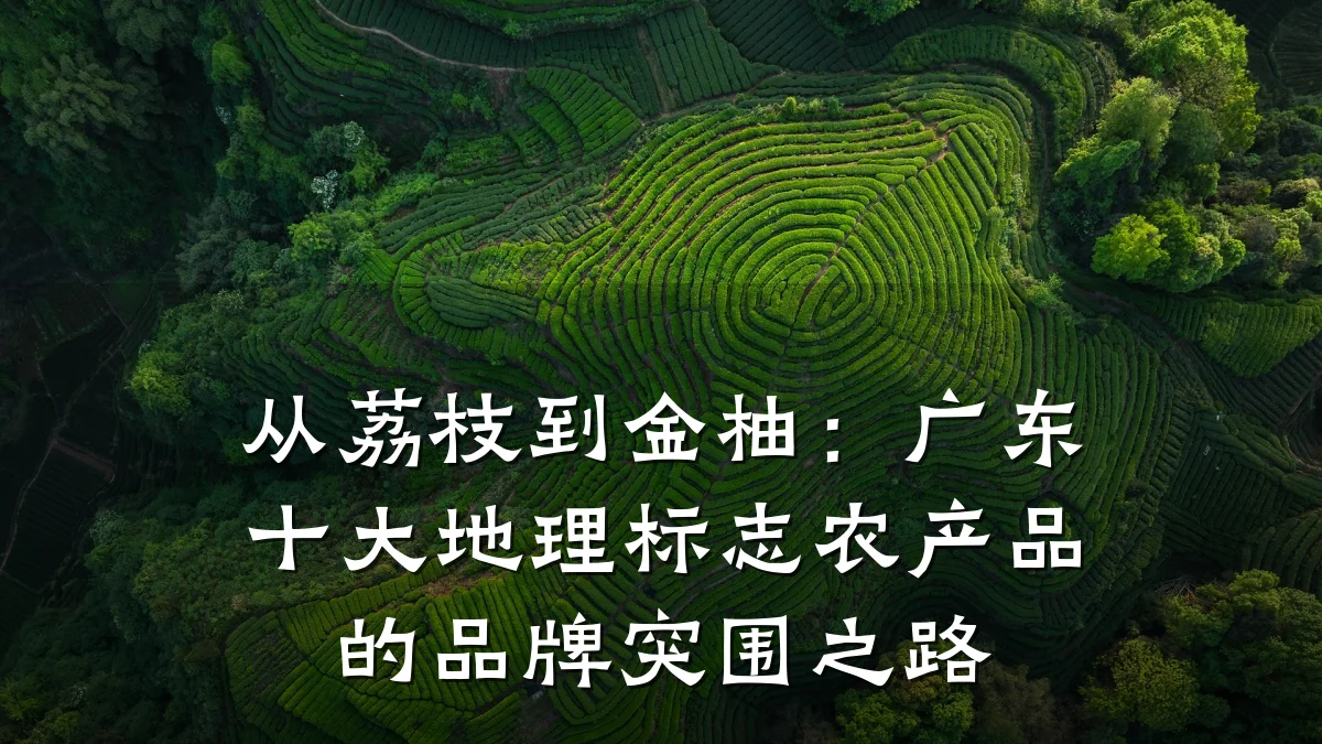 从荔枝到金柚:广东十大地理标志农产品的品牌突围之路