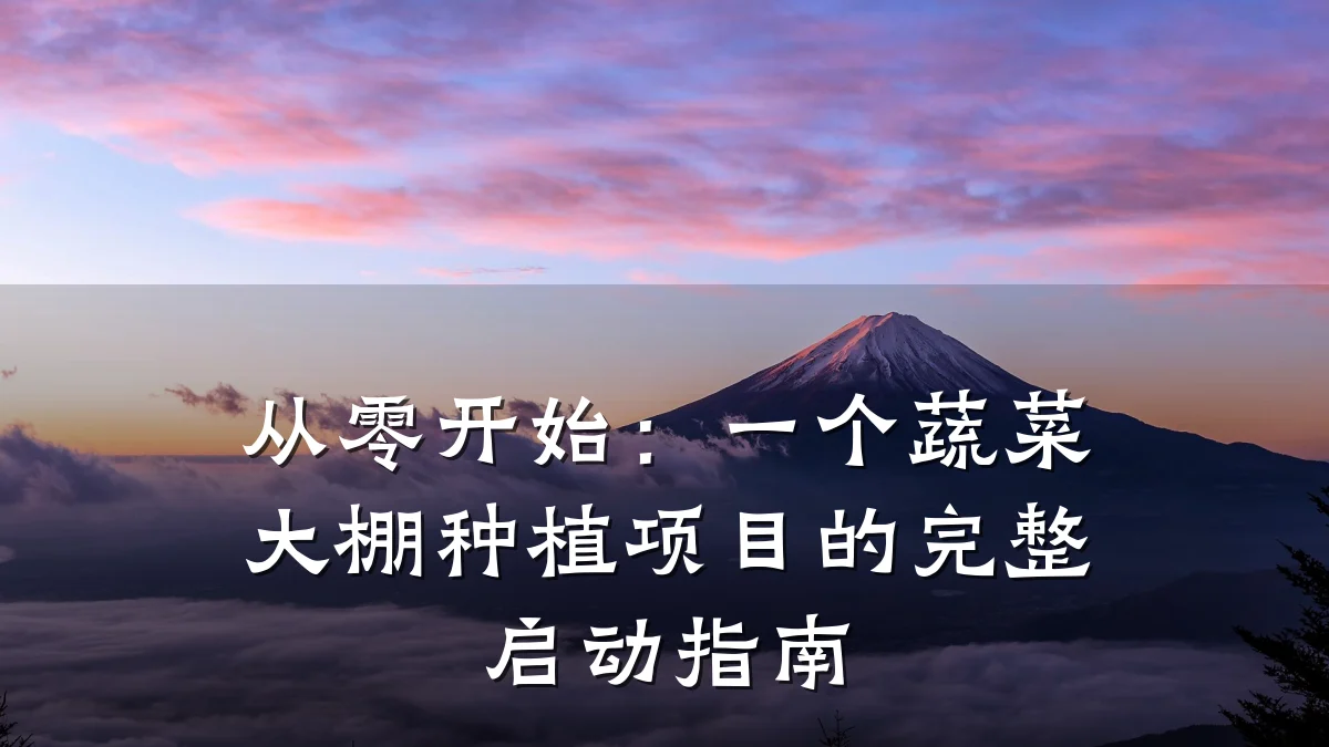 从零开始:一个蔬菜大棚种植项目的完整启动指南