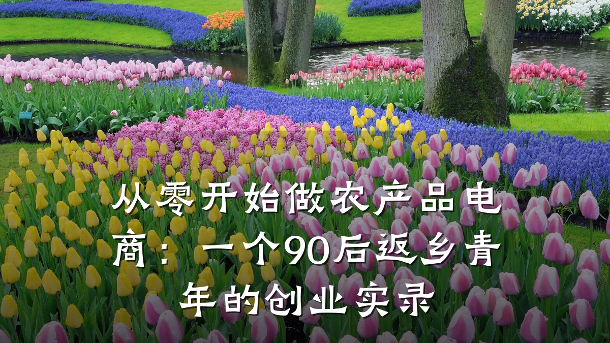 从零开始做农产品电商:一个90后返乡青年的创业实录