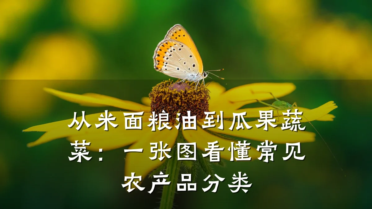 从米面粮油到瓜果蔬菜:一张图看懂常见农产品分类