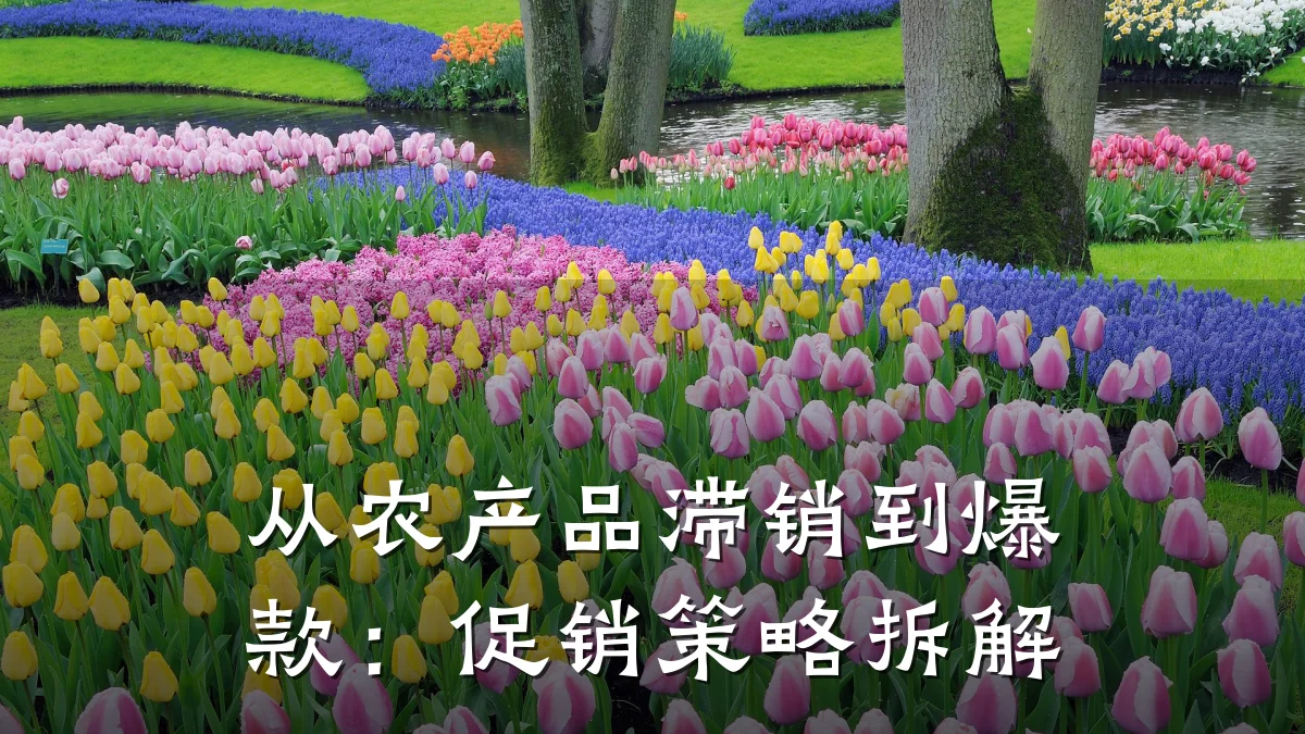 从农产品滞销到爆款:促销策略拆解