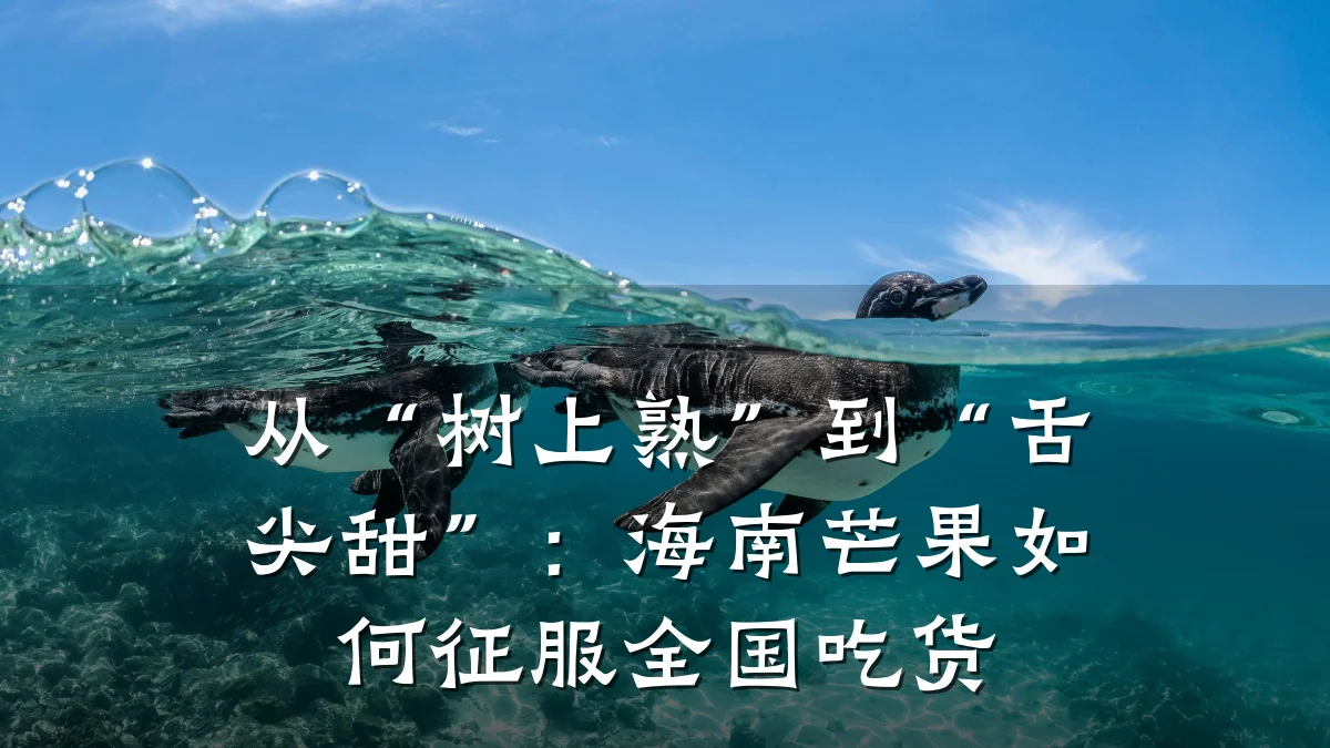 从“树上熟”到“舌尖甜”:海南芒果如何征服全国吃货
