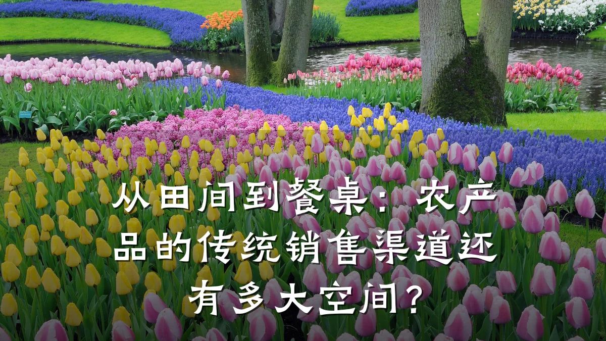 从田间到餐桌：农产品的传统销售渠道还有多大空间？