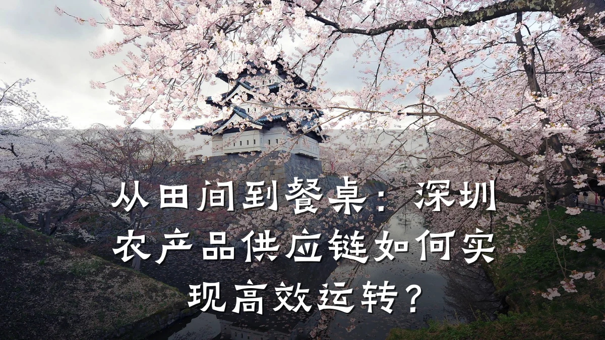 从田间到餐桌:深圳农产品供应链如何实现高效运转?
