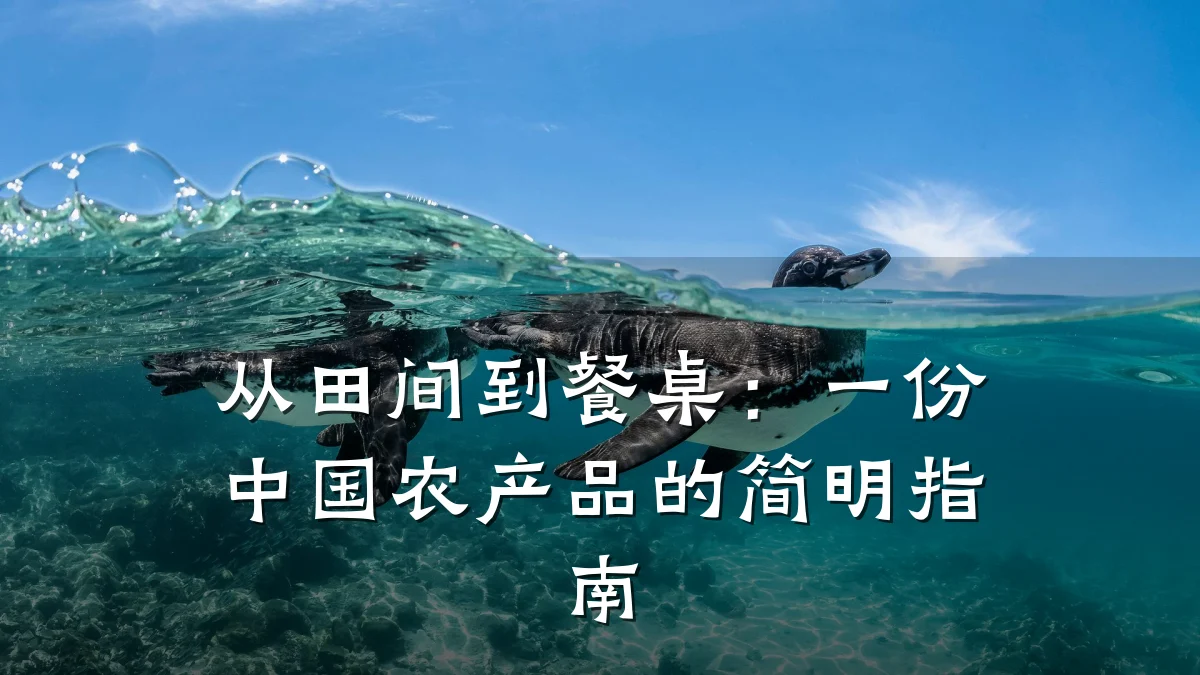 从田间到餐桌：一份中国农产品的简明指南
