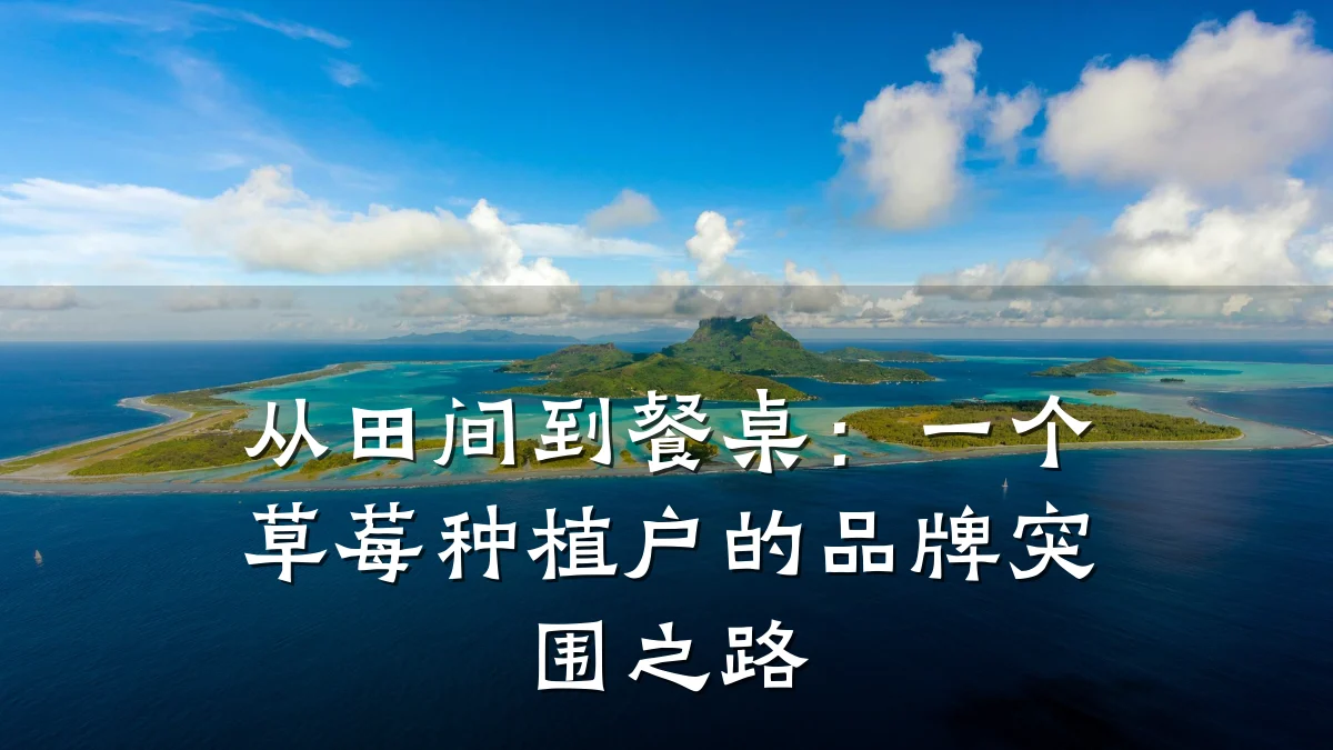 从田间到餐桌:一个草莓种植户的品牌突围之路
