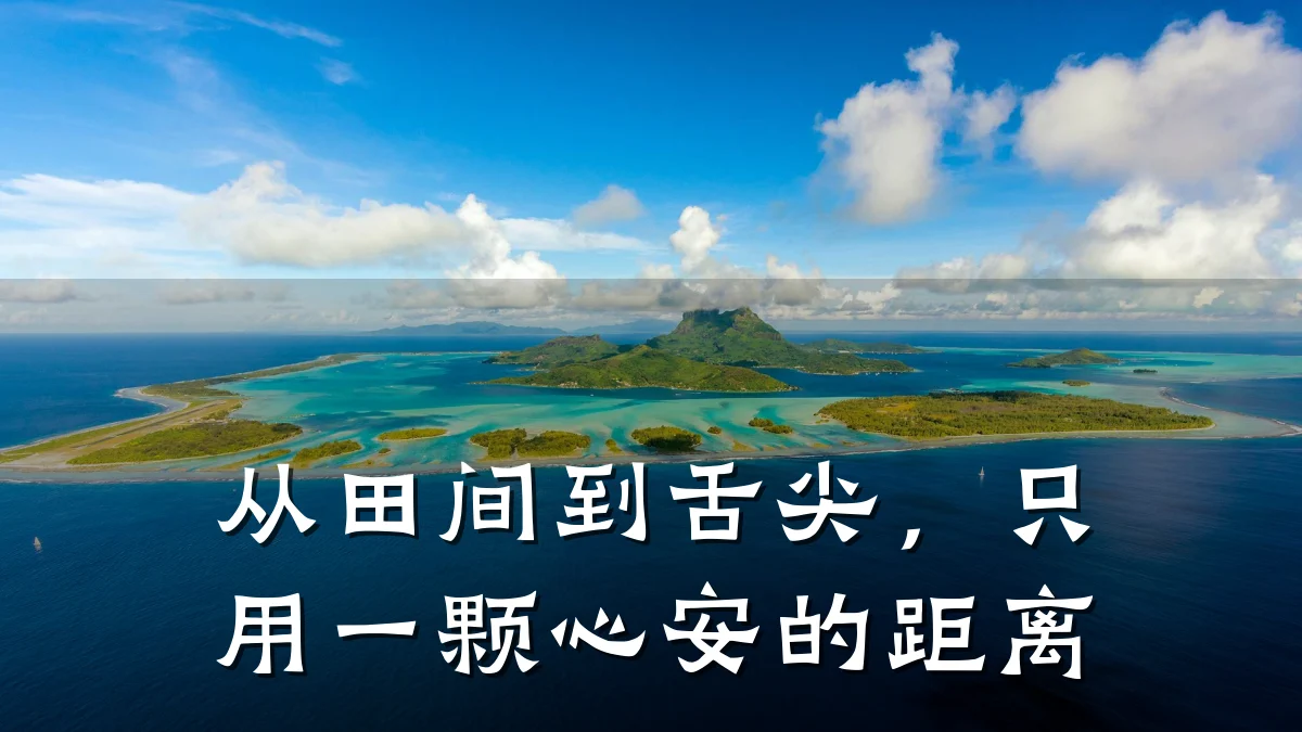 从田间到舌尖,只用一颗心安的距离