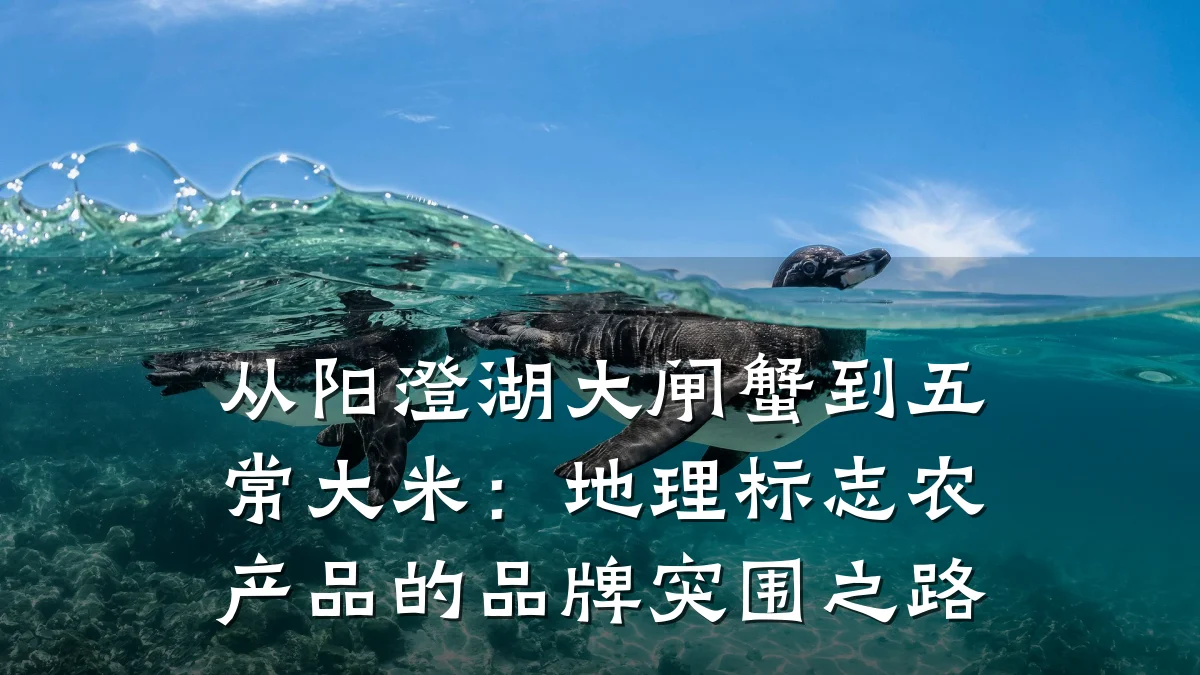 从阳澄湖大闸蟹到五常大米:地理标志农产品的品牌突围之路