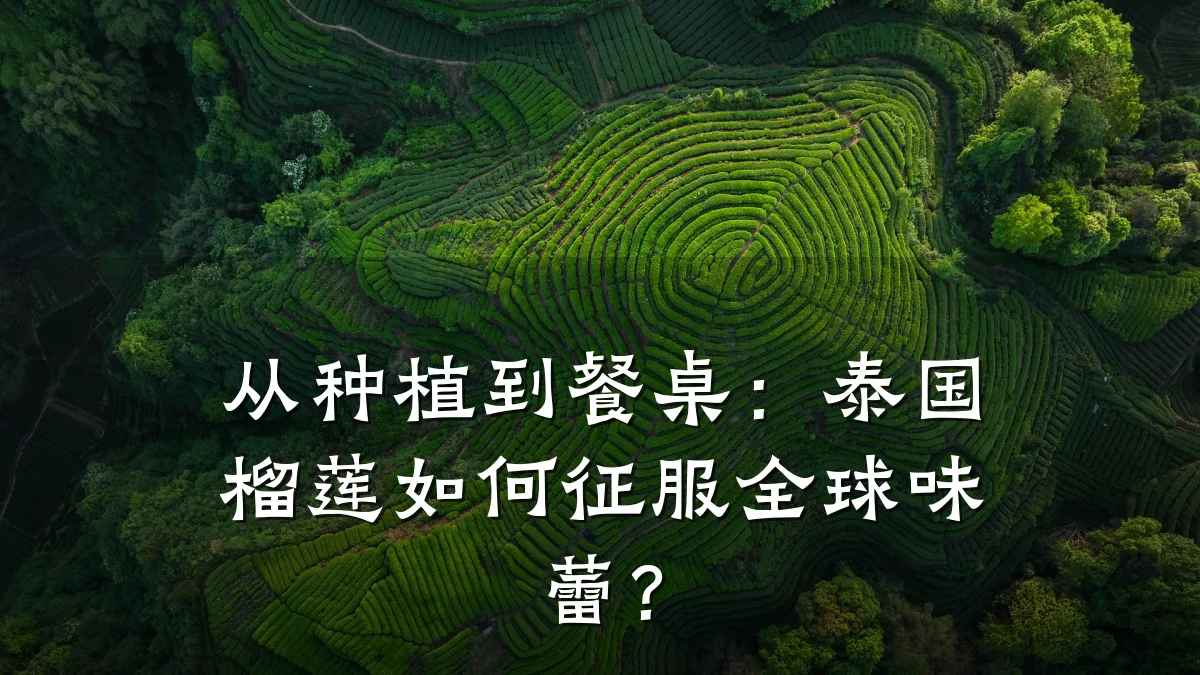 从种植到餐桌:泰国榴莲如何征服全球味蕾?