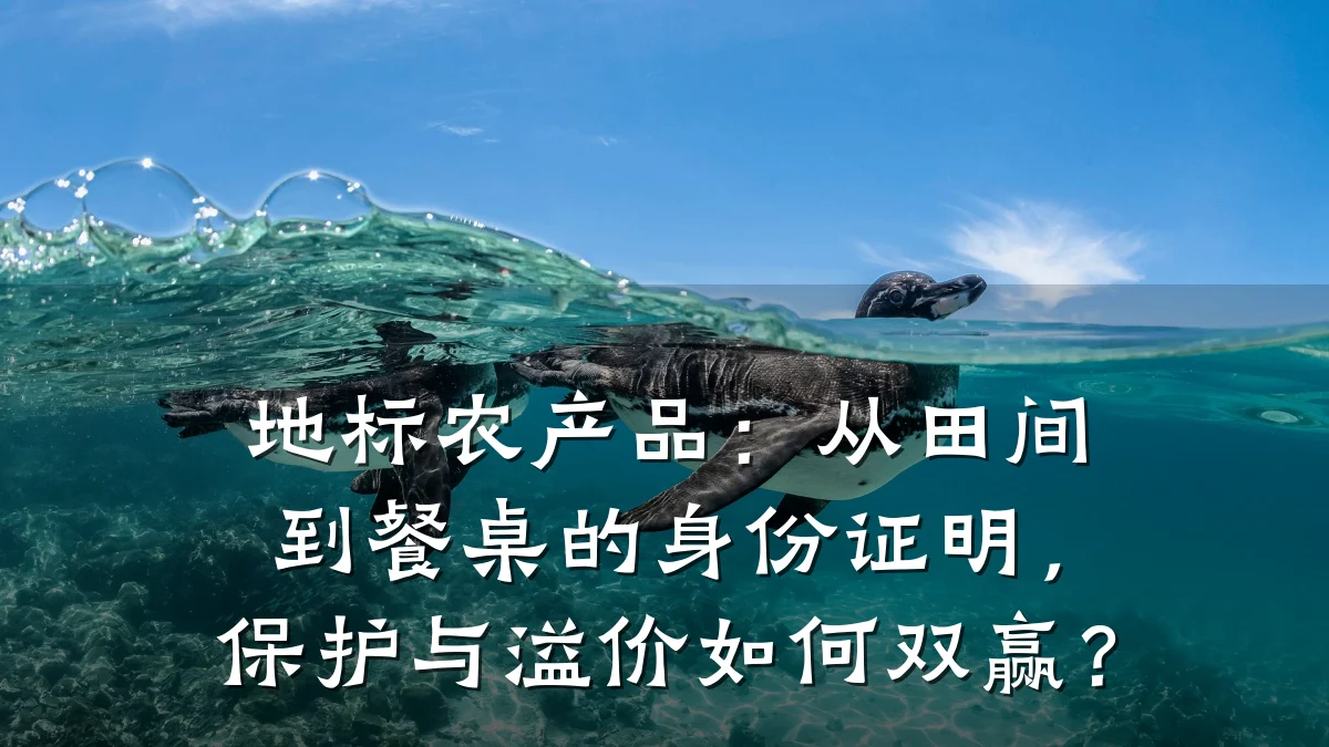 地标农产品：从田间到餐桌的身份证明，保护与溢价如何双赢？