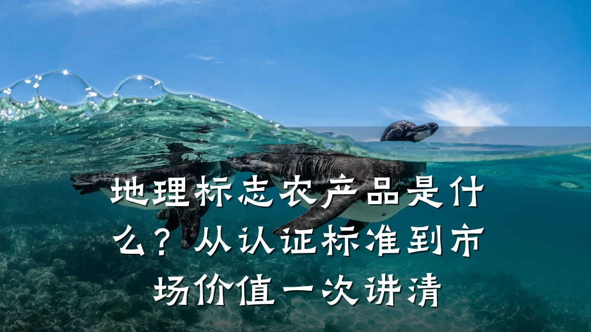 地理标志农产品是什么？从认证标准到市场价值一次讲清