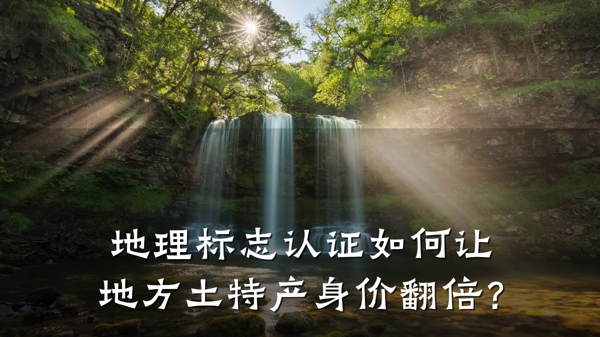 地理标志认证如何让地方土特产身价翻倍?