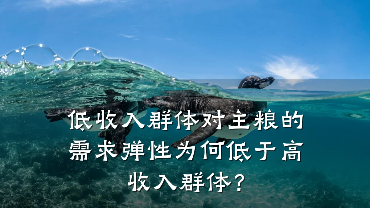 低收入群体对主粮的需求弹性为何低于高收入群体？