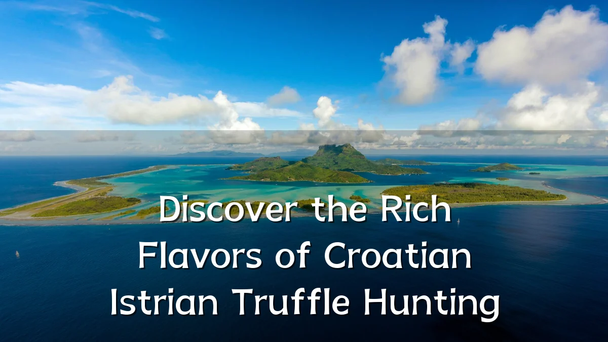 Discover the Rich Flavors of Croatian Istrian Truffle Hunting