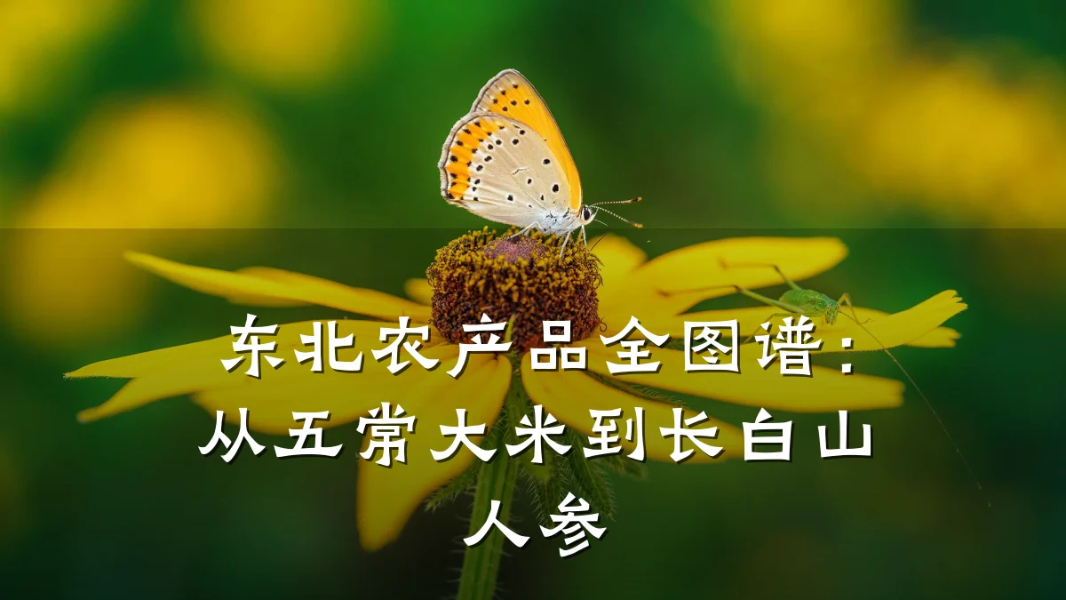 东北农产品全图谱:从五常大米到长白山人参