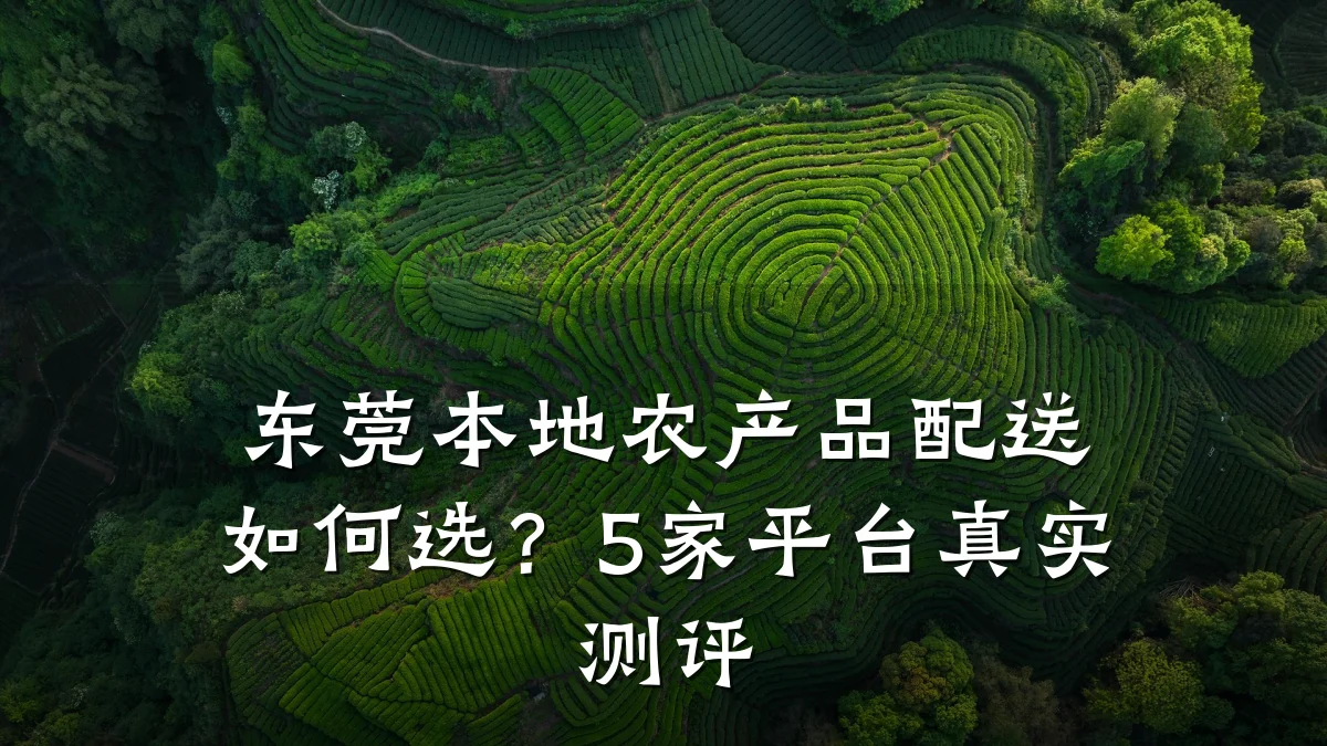 东莞本地农产品配送如何选?5家平台真实测评