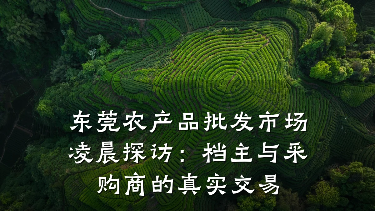东莞农产品批发市场凌晨探访:档主与采购商的真实交易