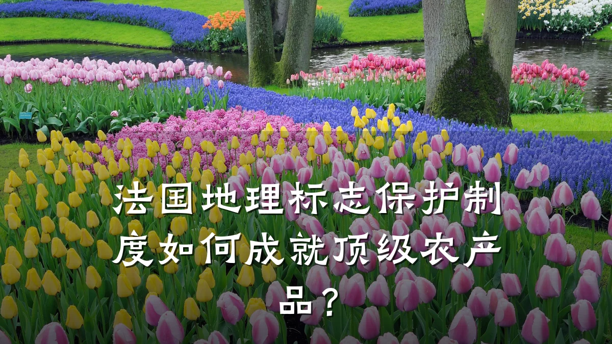 法国地理标志保护制度如何成就顶级农产品?