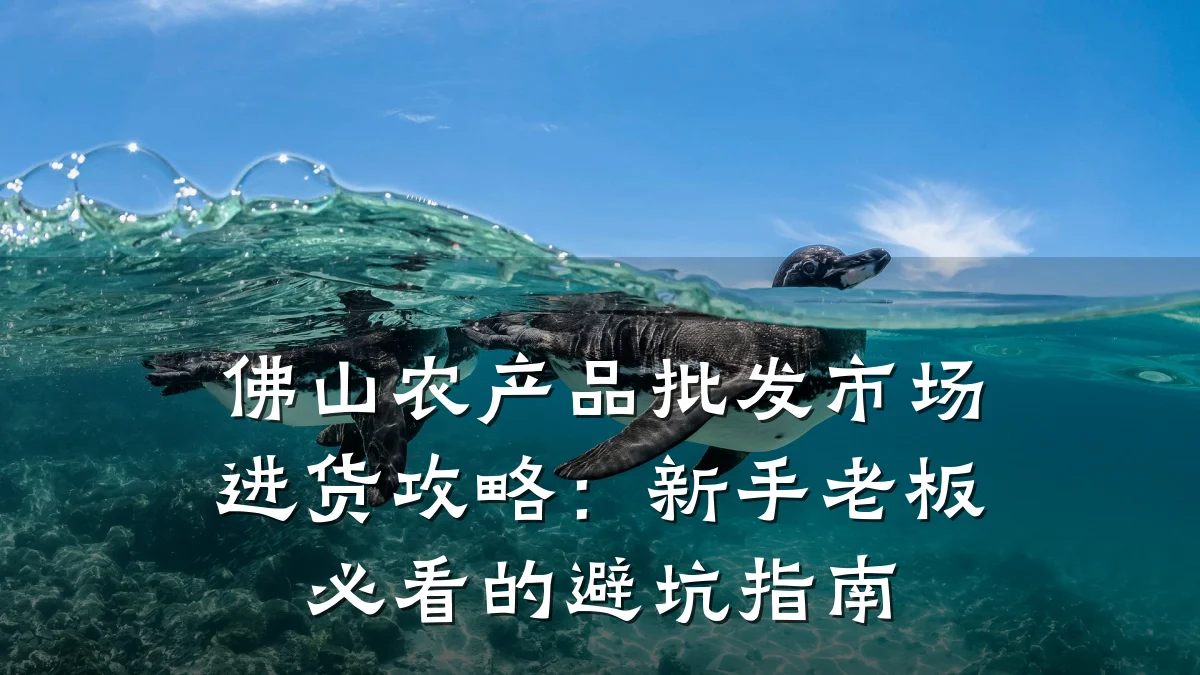佛山农产品批发市场进货攻略：新手老板必看的避坑指南