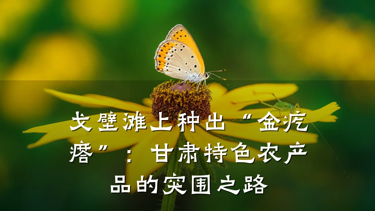 戈壁滩上种出“金疙瘩”:甘肃特色农产品的突围之路
