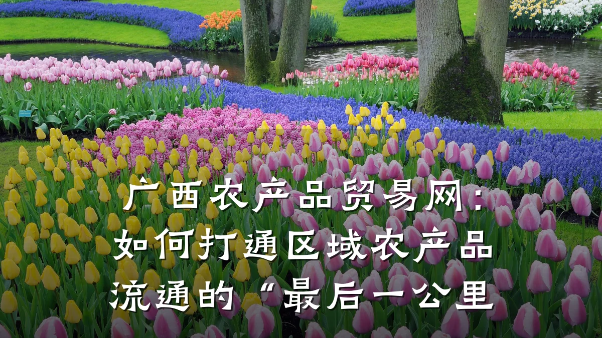 广西农产品贸易网:如何打通区域农产品流通的“最后一公里