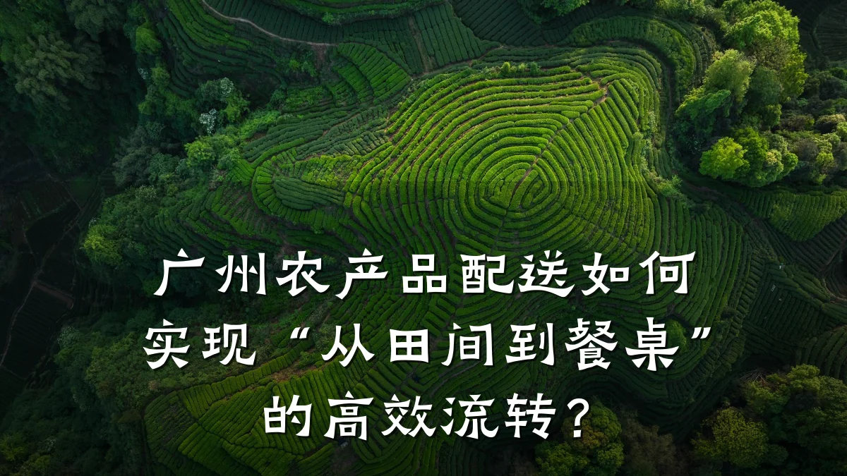 广州农产品配送如何实现“从田间到餐桌”的高效流转?