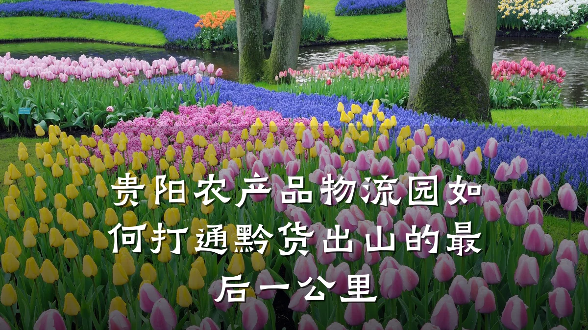 贵阳农产品物流园如何打通黔货出山的最后一公里