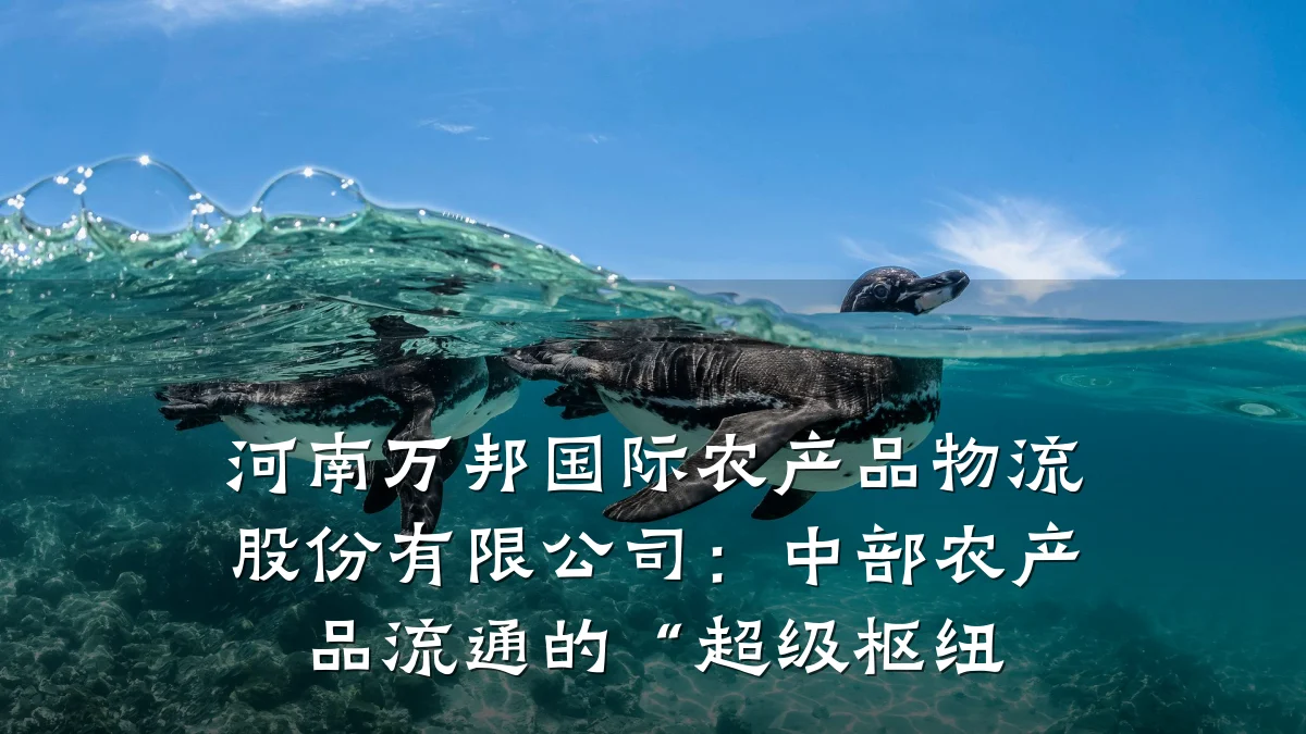 河南万邦国际农产品物流股份有限公司:中部农产品流通的“超级枢纽