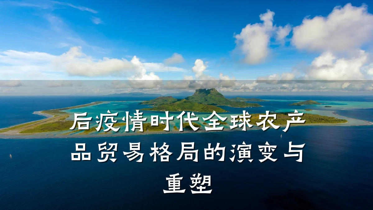 后疫情时代全球农产品贸易格局的演变与重塑
