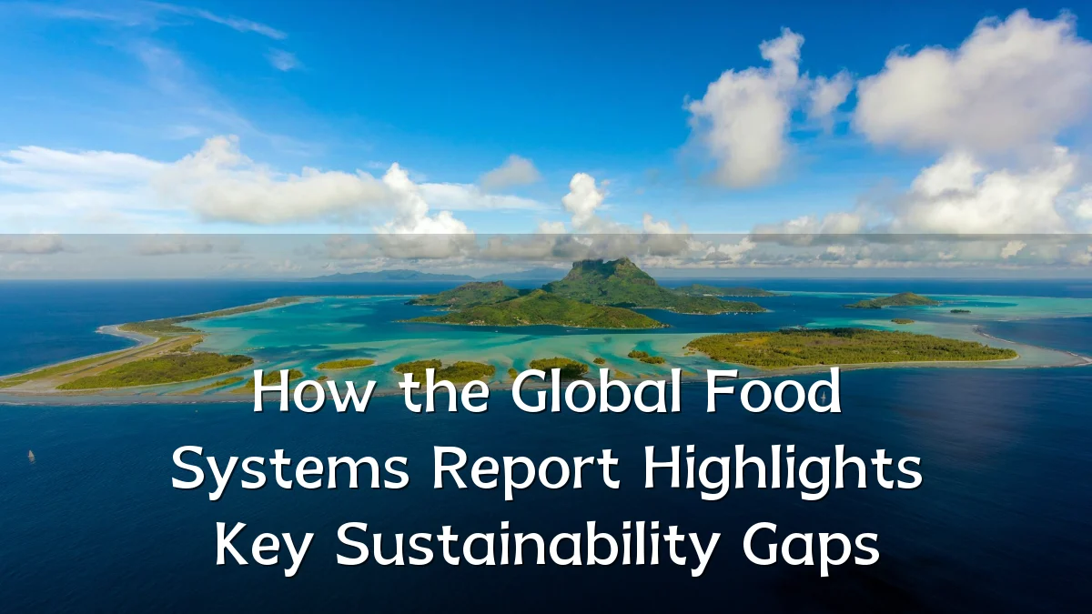 How the Global Food Systems Report Highlights Key Sustainability Gaps