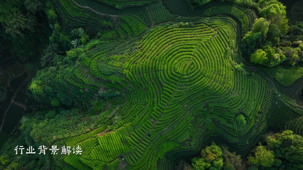 行业背景解读