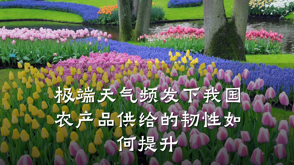 极端天气频发下我国农产品供给的韧性如何提升