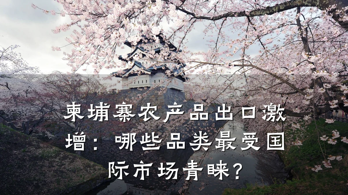柬埔寨农产品出口激增：哪些品类最受国际市场青睐？