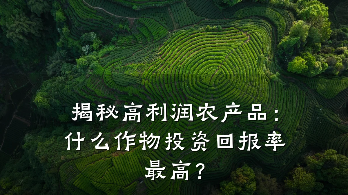 揭秘高利润农产品:什么作物投资回报率最高?