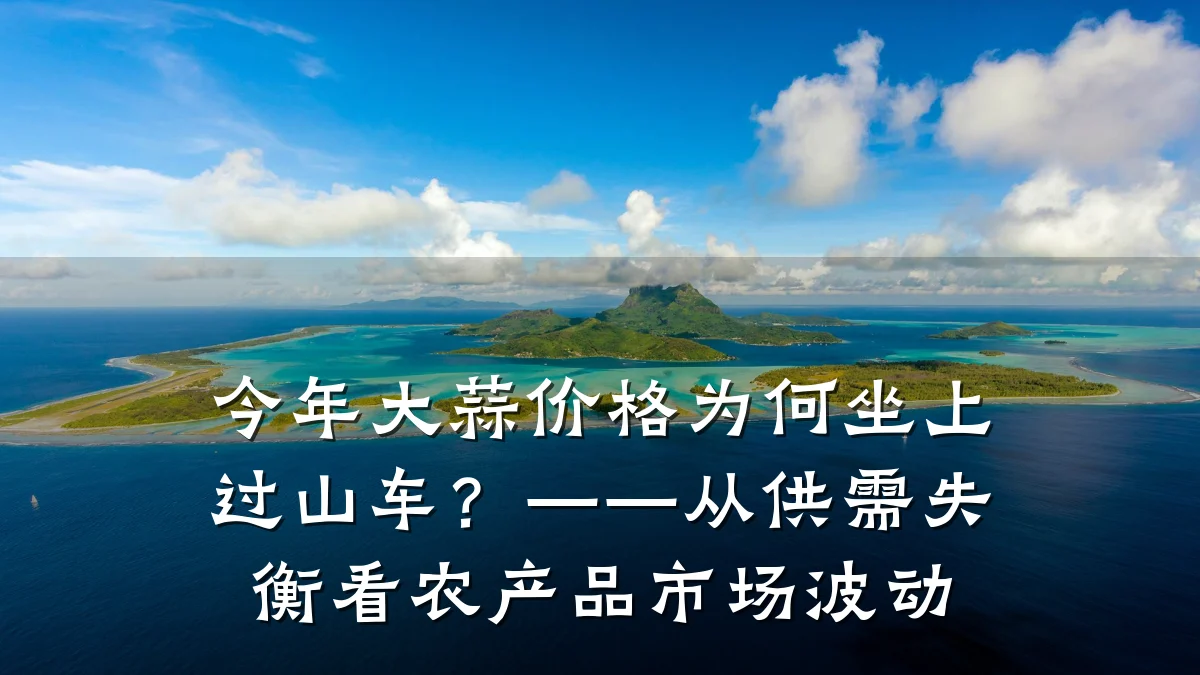 今年大蒜价格为何坐上过山车?——从供需失衡看农产品市场波动