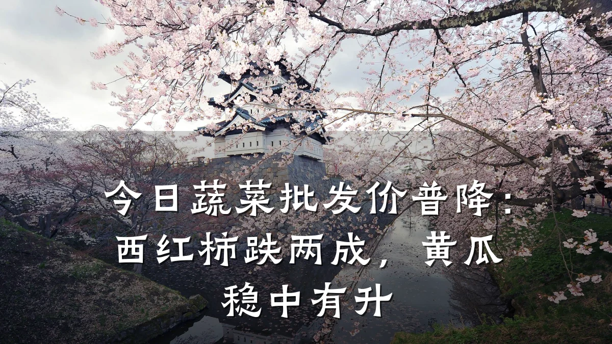 今日蔬菜批发价普降:西红柿跌两成,黄瓜稳中有升